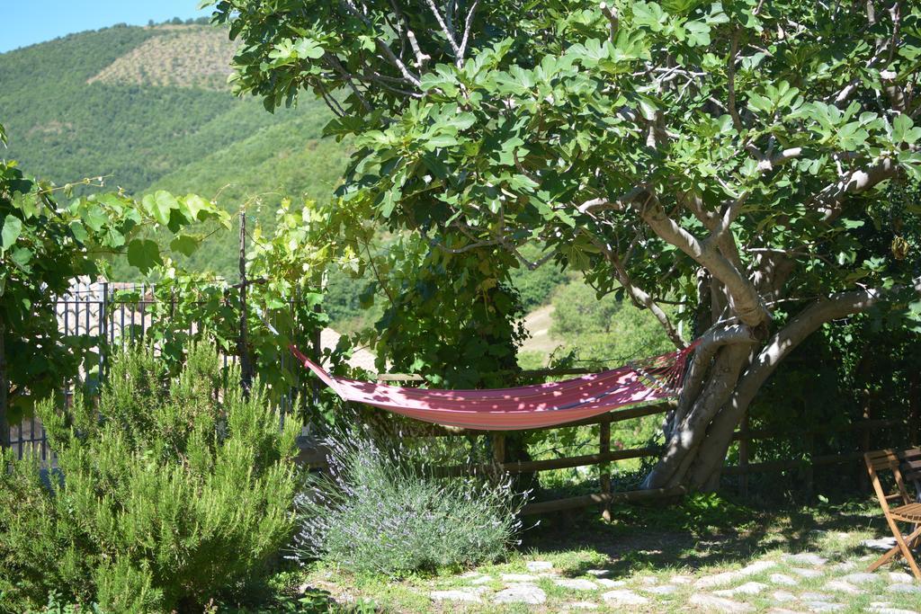 Agriturismo Campagna In Compagnia Vallo di Nera Exterior foto