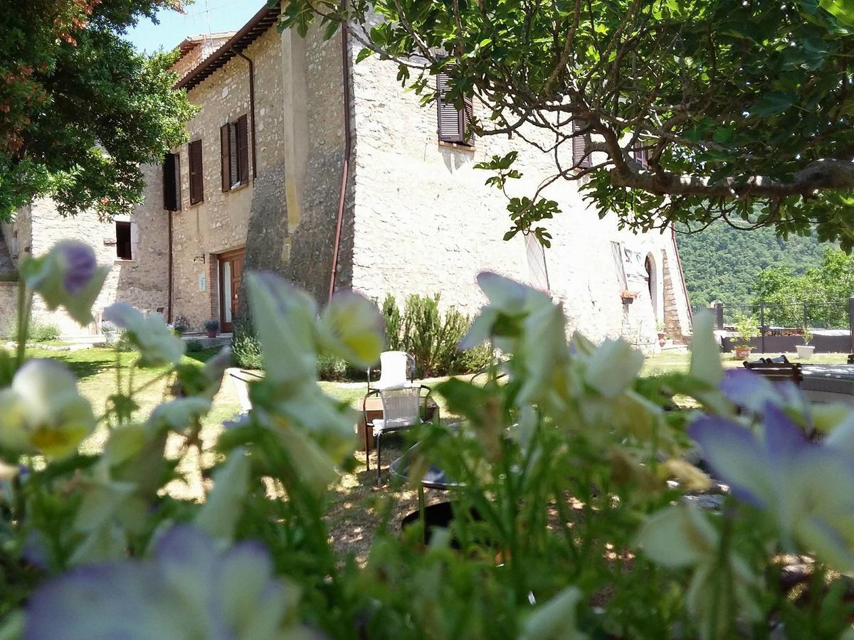 Agriturismo Campagna In Compagnia Vallo di Nera Exterior foto