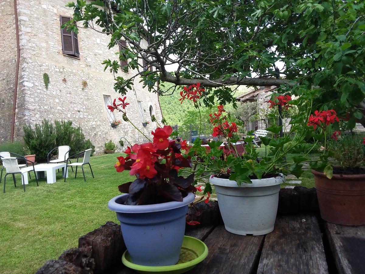 Agriturismo Campagna In Compagnia Vallo di Nera Exterior foto