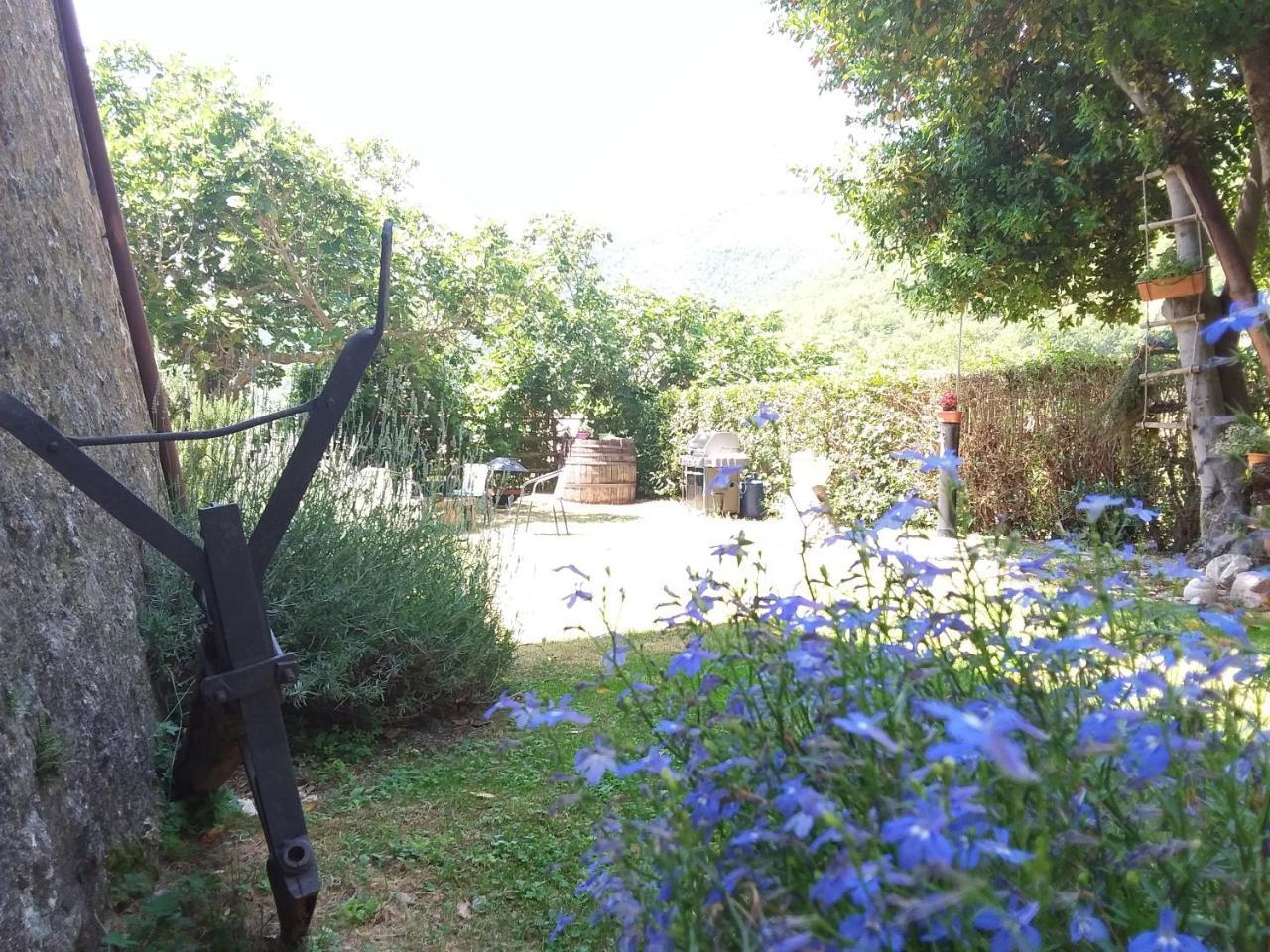 Agriturismo Campagna In Compagnia Vallo di Nera Exterior foto